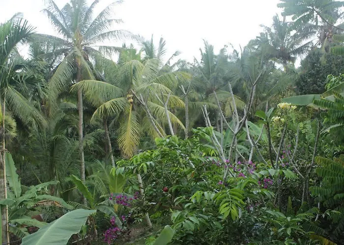 Affittacamere Pondok Sundari 2*